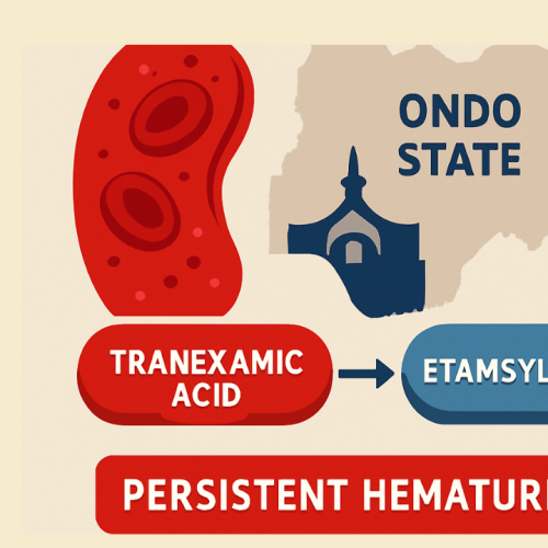 From tranexamic acid to rescue therapy of etamsylate in the management of persistent hematuria in Lassa fever in Ondo state, Nigeria: A case series survey